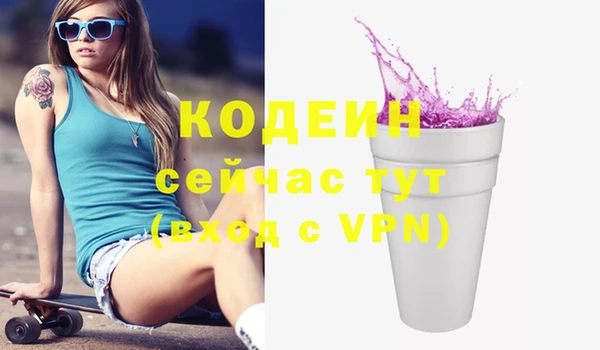 шишки Балахна