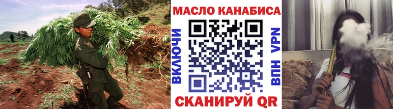 где продают   Шатура  ТГК концентрат 