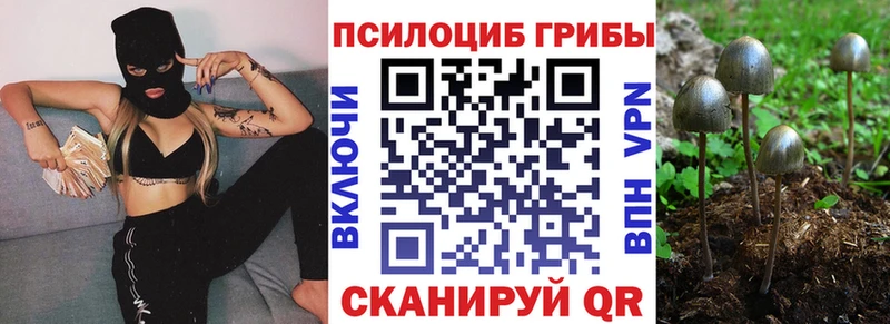 Псилоцибиновые грибы мухоморы  Шатура 