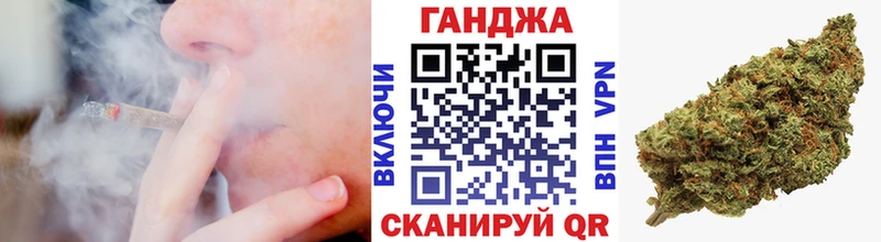 где купить наркоту  Шатура  МАРИХУАНА ГИДРОПОН 